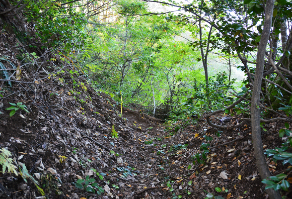 A rugged mountain path